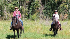 All About Eagle Map & Guide